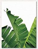 ChezMax Wall Art on Canvas Print Artwork Pictures for Home Decor Green Tropical Plants Palm Leaves 11.8" X 15.7"