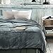 Luxury Collection Microplush Flannel Fleece Blanket | Ultra Soft 380 GSM Lightweight All-Season Anti-Static Throw/Blanket for Sofa Couch Bed (Twin (59'' x 78''), Azure Gray)