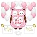 Andaz Press Balloon Party Kit with Signs, Girl Baby Shower, Owl with Pink and White Balloons, Hanging Decor, Hanging Decorations, 19-Piece Kit