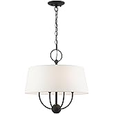 Livex Lighting 4 Light Black Pendant Chandelier, 18 x 18 x 18.75
