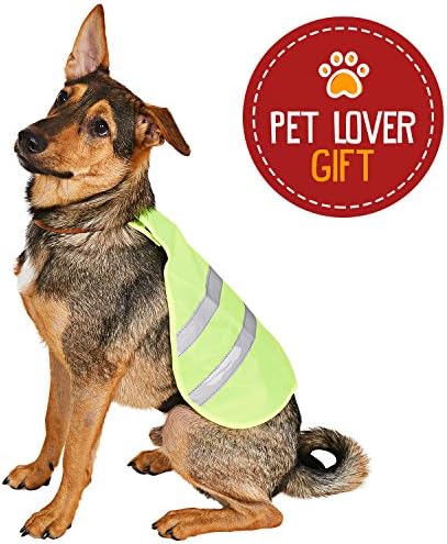 Animals Favorite Dog Reflective Vest, Outdoor Activity, High Visibility Protection (Large)