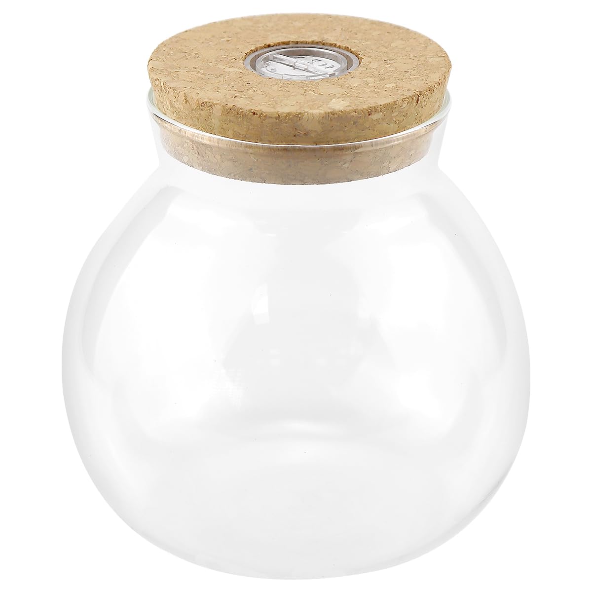 FERCAISH Landscape Bottle, Bottle Garden with Light, Plant Vase, Micro Landscape Ecological Bottle, Glass with Cork Lid, Round, for Plant Decoration DIY (13 x 13 cm)
