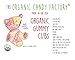 Organic Gummy Cubs by The Organic Candy Factory | Vegan & Kosher Gummy Bears | No Gelatin, Gluten, GMO, Preservatives, Nuts, Corn Syrup, or Artificial Ingredients