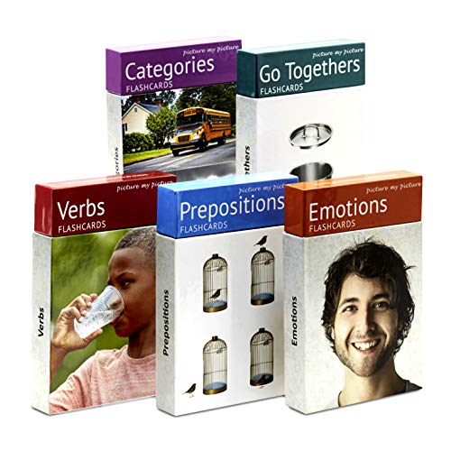 Picture My Picture Feelings and Emotions, Prepositions, Verbs, Categories and Go Togethers Flash Card Pack