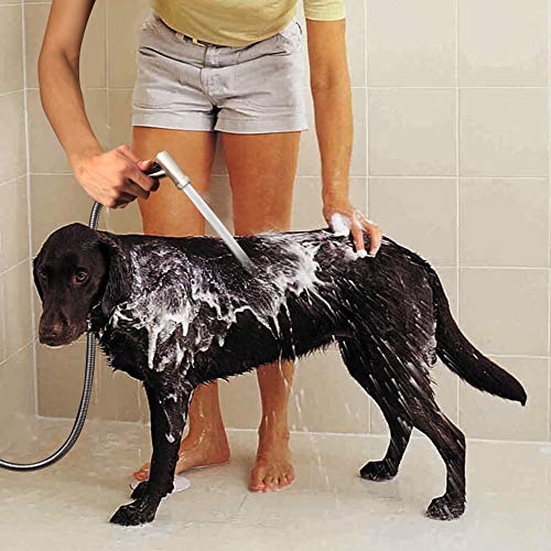 EIGSO Handheld Bidet Sprayer,Complete Premium Stainless Steel Bathroom Shattaf Sprayer Best Used for Personal Hygiene,Potty Toilet Spray (EIGSO-002)