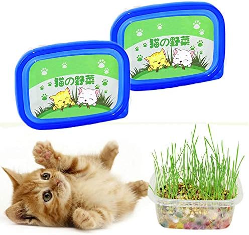 激安超特価 Gifty 猫の野菜 3回分x2個セット 猫草 キット 栽培 無農薬 毛玉対策