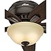 Hunter Fan Company, 51082, 42 inch Newsome Premier Bronze Low Profile Ceiling Fan with LED Lights and Pull Chain