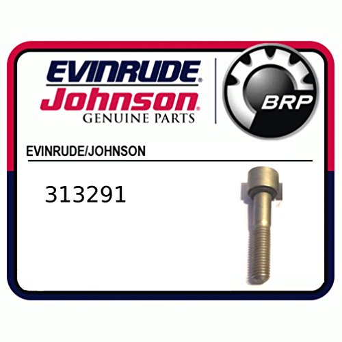 313291 Screw – Lower Unit Bearing Housing for Johnson & Evinrude Outboard Engines
