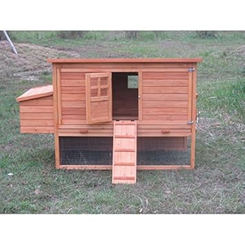 Grand Poulailler Barbu Xl Amazonfr Animalerie
