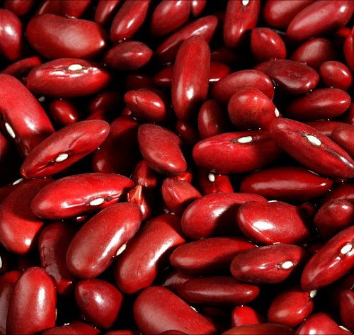 Stop Red Kidney Bean Seeds - 100 Seeds - Small/Dark Red Bean Stop Red Kidney Bean Seeds - 100 Seeds - Small/Dark Red Bean