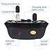 PATPET Anti Barking Ultrasonic Dog Bark Deterrent, Barking Control Handheld Dog Behavior Training Tool for Use Indoor & Outdoor