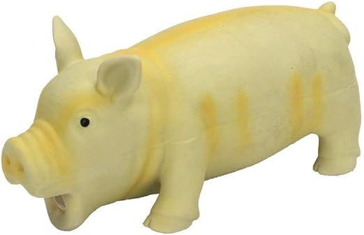 rubber pig dog toy