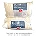 2-Pack - 12x20 Hypoallergenic Pillow Inserts - Made in USA