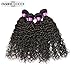 FASHION QUEEN Hair Brazilian Water Wave 3 Bundles Wet and Wavy Human Hair Brazilian Virgin Human Hair Extensions (18 20 22 inch)