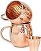 Willow & Everett Set of 2 Moscow Mule Copper Mugs with Shot Glass - 2 16oz Copper Moscow Mule Mugs - Solid Copper Hammered Mug - Copper Cups for Moscow Mules