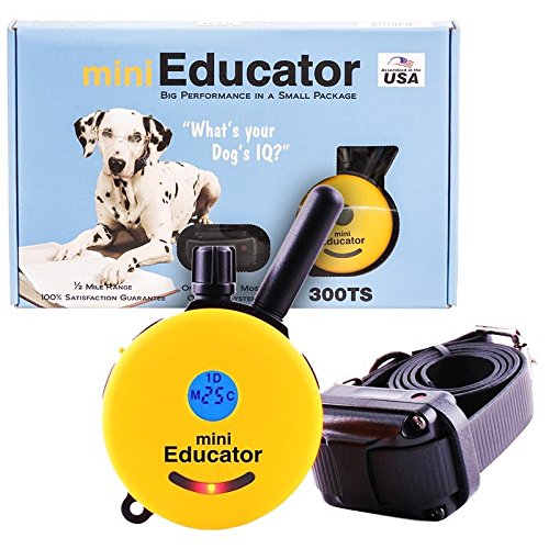 Mini Educator Bundle of 2 Items ECollar ET3001/2 Mile Remote