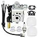 Ferilter Carburetor for SRM210 SRM211 Echo GT200 GT201i HC150 HC151 PE200 PE201 PPF210 PPF211 String Trimmer Brushcutter Carb RB-K75 Carburetor with Fuel Maintenance Kit Spark Plug