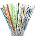 BESU 25 Pieces Reusable Straws Fit for Tumbler Mason Jar with Cleaning Brush(9 Inch and 10.5 Inch)