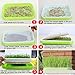 Seed Sprouter Tray, Yamix 6 Set Two-Tiered Seed Sprouter Tray Sprouter Plant Germination Tray Hydroponics Basket (Green + White)