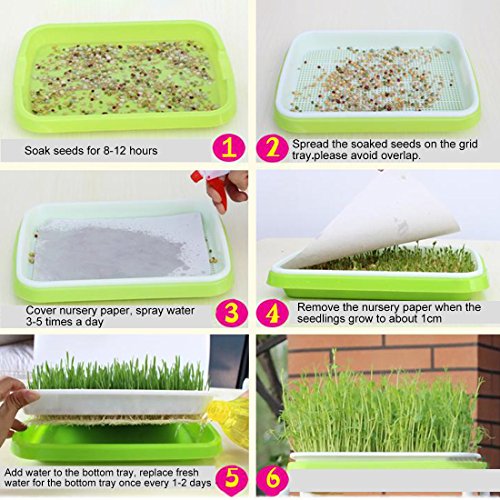 Yamix 2 Pack Two-Tiered Seed Sprouter Tray Kitchen Crop Sprouter Germination Tray (Purple + White) - Thumbnail 6
