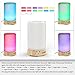 GreenFresh Essential Oil Diffuser - Best Essential Oil Diffuser with Four-In-One Versatility and Seven LED Light Choices - Works Great as a Fragrance Lamp, Air Purifier, Humidifier, or Nightlight