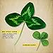 Biologic Non-Typical Clover Deer Food Plot Seed, Fast-Establishing & Aggressive Large-Leaf White Clover, 8 lb Bag Plants 1 Acre