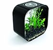 biOrb fish tank