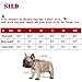 SILD Pet Clothes Dog Jeans Jacket Cool Blue Denim Coat Small Medium Dogs Lapel Vests Classic Hoodies Puppy Blue Vintage Washed Clothes (Plaid Hat,M)