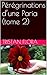 Pérégrinations d'une Paria (tome 2) (French Edition) by Tristan Flora