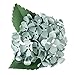 Fiskars 126770-1001 Lia Griffith Lever Punch, Hydrangea, Teal Green/White