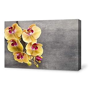 Canvas Wall Art for Living Room,Bedroom Home Artwork Paintings Orchid SPA Backgrounds Ready to Hang - 12x18 inches