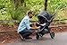 Britax B-Free Stroller, Pewter [Discontinued]