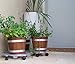 TABOR TOOLS Plant Caddy Saucer with 4 Universal Wheels, Plant Dolly, Flower Pot Trolley, Planter Pot Mover, Outdoor Planter Trolley Tray (17″, Clear-PG307A)thumb 3
