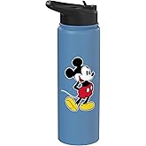 Disney Classic Mickey Mouse Vintage Stainless Steel Insulated Water Bottle