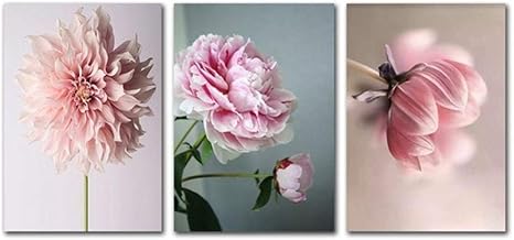 Amazon ピンク牡丹花愛ポスター版画キッチン壁アートパネルキャンバス絵画インテリアノルディック壁写真モダンリビング部屋ダイニング部屋装飾40 60cm 3フレームレス ウォールステッカー オンライン通販