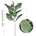 Aisamco 6 Pcs Artificial Flocked Lambs Ear Leaf Spray Rabbit Ear Leaf in Silver Green Fake Plants Artificial Greenery Wedding Bouquet Artificial Plants Green Leaf Floral Arrangement