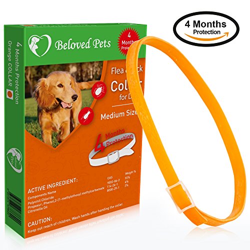 Beloved Pets Flea&Tick Collar (100% Safe and effective) - Flea Control Collar for Dogs and Puppies. Quick and long lasting protection. Kills Flea,flea and tick prevention (Big Dog, Orange)