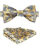 SetSense Men's Paisley Printing Self Bow Tie Set