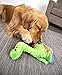 goDog Dinos Bruto with Chew Guard Technology Durable Plush Dog Toy, Large, Green