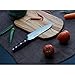WALLOP Santoku Knife - Japanese AUS-10 Core 67 Layers Damascus High Carbon Stainless Steel Kitchen Knife with Hammered Pattern Blade & Non-slip Ergonomic G10 Handle with Knife Sheath - 7''