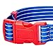 Blueberry Pet Essentials 5 Patterns Royal Bon Voyage Nautical Sleek Wisdom Stripes Adjustable Dog Collar, Large, Neck 18