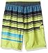O'Neill Boys' Lennox Boardshort