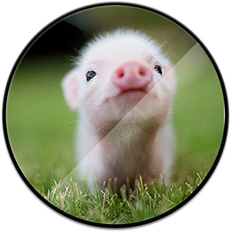 Multifunction Expanding Stand and Grip Pop Mount Socket for Smartphones and Tablets - Cute Pig