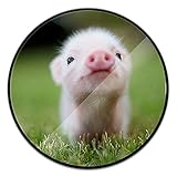 Multifunction Expanding Stand and Grip Pop Mount Socket for Smartphones and Tablets - Cute Pig