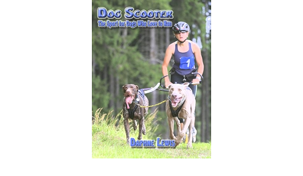 dog scooter amazon