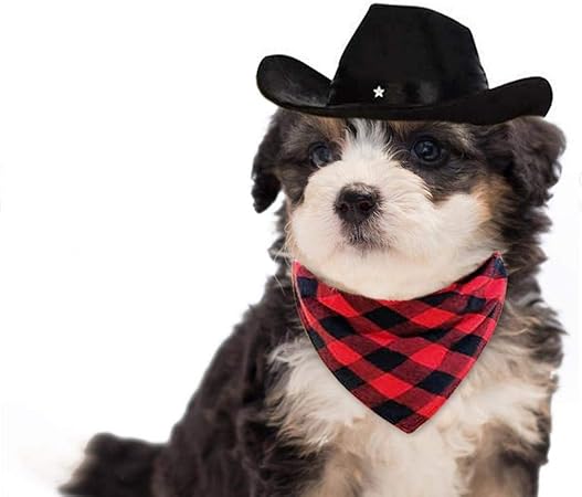 dog hat and scarf set