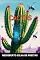 Livro Cactus