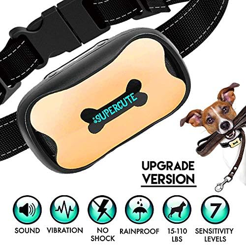 Cynology War Labs Standard Dog Collar (Large)
