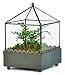 Ball Top Square Terrarium
