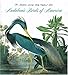 Audubon's Birds of America (Tiny Folios) by Roger Tory Peterson, Virginia Marie Peterson